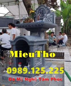 Cây Hương Đá Giá Rẻ Bán Tại Bình Định