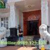 Tượng Sư Tử Đá Phong Thủy Đẹp Bán Ở Bến Tre