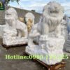 Tượng Sư Tử Đá Phong Thủy Đẹp Bán Tại Gia Lai