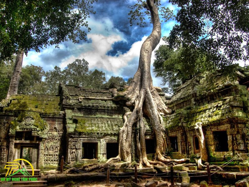 Khám Phá Đền Ta Prohm