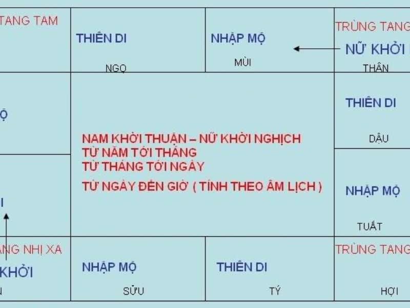 Các Loại Trùng Tang