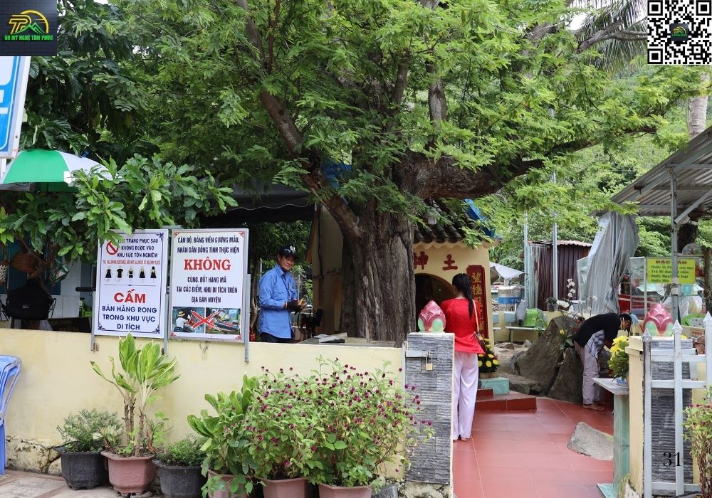 miếu bà chúa năm phương cây đa 13 gốc