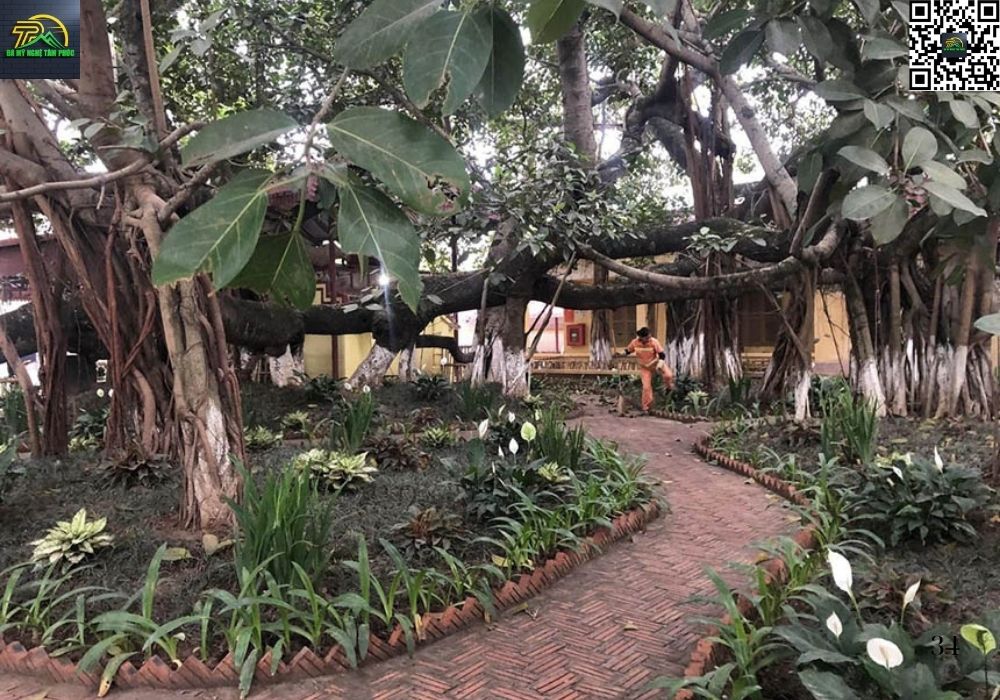 Cách Cúng Tam Tai Ở Ngã Ba