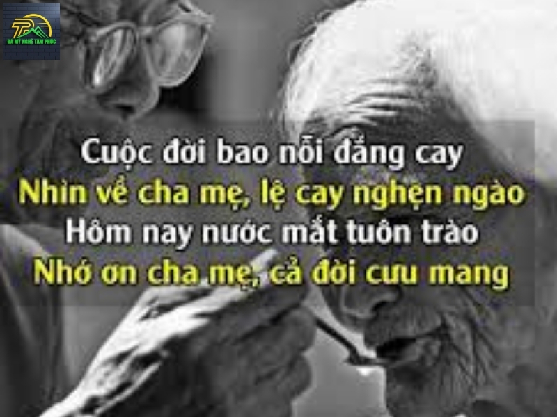 Thơ Về Cha Mẹ Ngắn Gọ