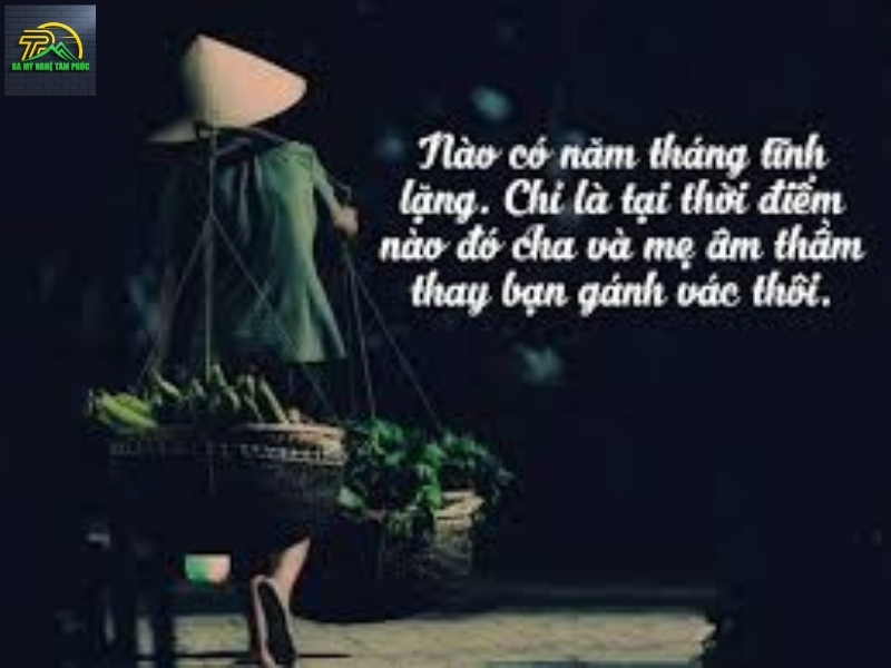 Câu Thơ Về Cha Mẹ