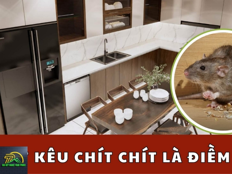 Chuột Kêu Chít Chít Là Điềm Gì? Luận Giải Chi Tiết Theo Quan Niệm Dân Gian