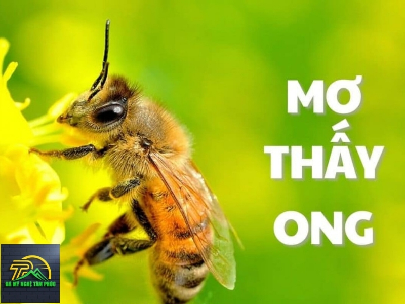 Ong Bay Vào Nhà và Những Con Số May Mắn Liên Quan