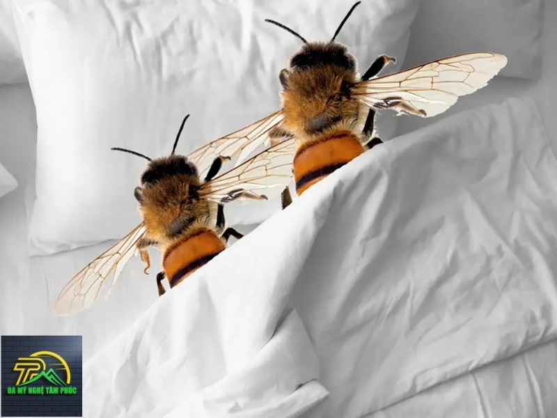 Luận Giải Các Hiện Tượng Ong Vào Nhà Đặc Biệt Khác